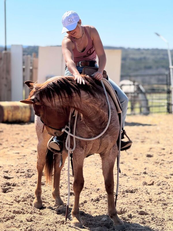 Miss Lena Chickasha - Image 2