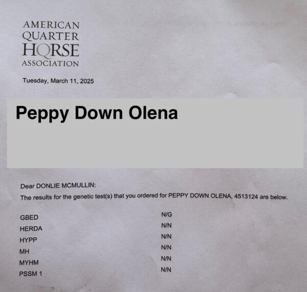“Peppy Down Olena” AQHA - Image 4