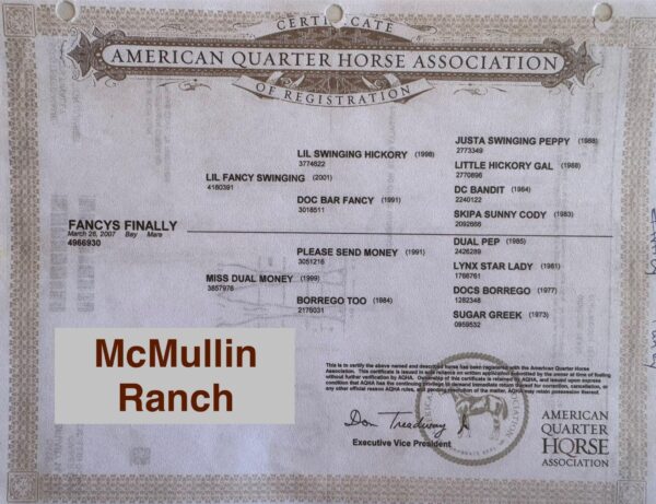 “Fancys Finally” AQHA